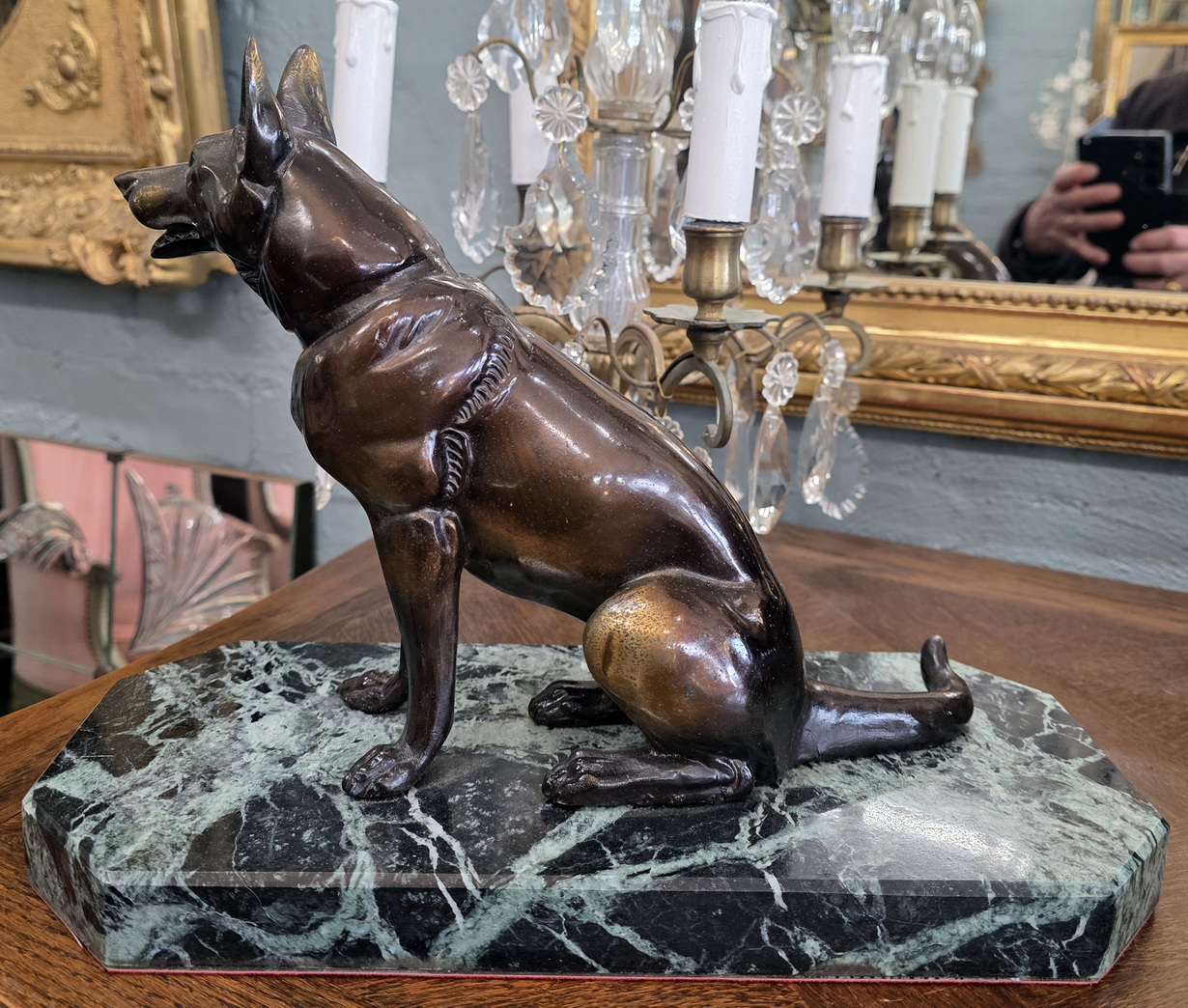 A French Alsatian Dog A French Alsatian Dog